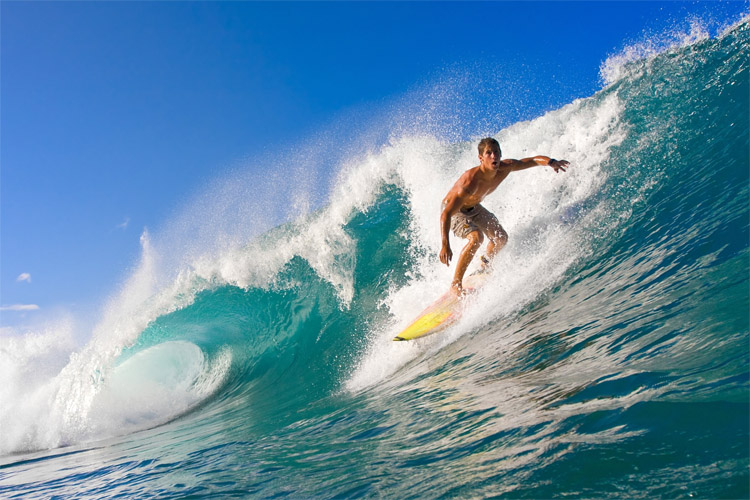 Surfing: is there a rehab center for addicted surfers?