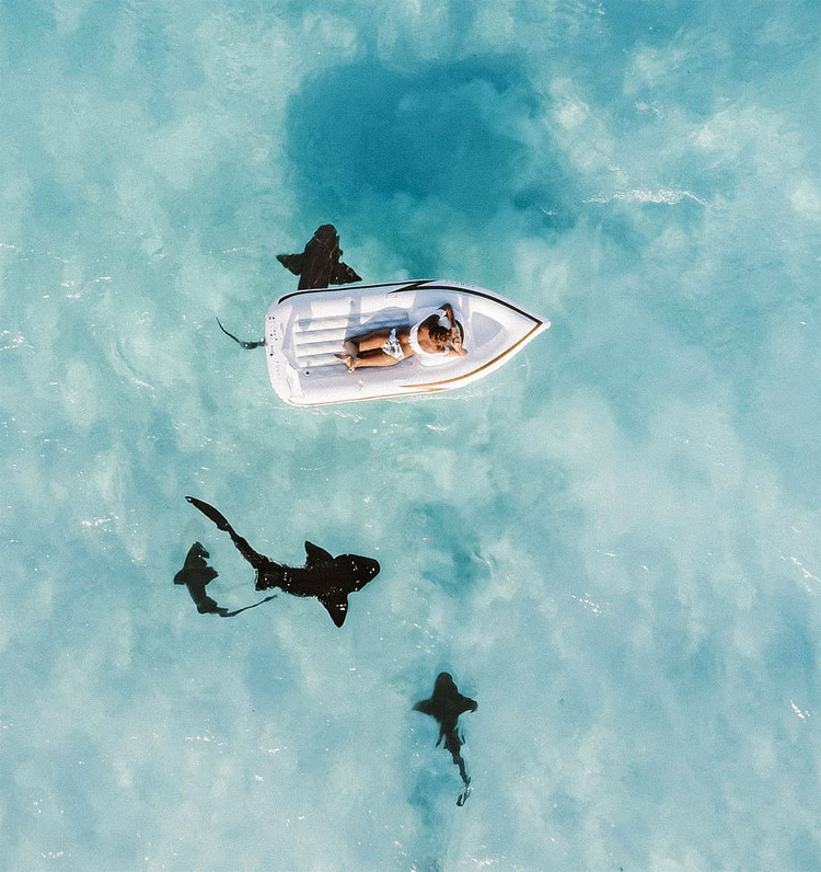 Shark-spotting: some countries use drones to track the movement of sharks near the coastline | Photo: Creative Commons