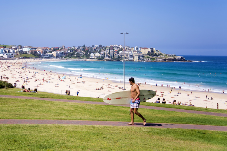 Bondi Beach: the Clever Buoy will warn surfers and swimmers of the presence of sharks