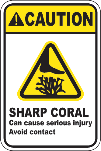 Caution: Sharp Coral