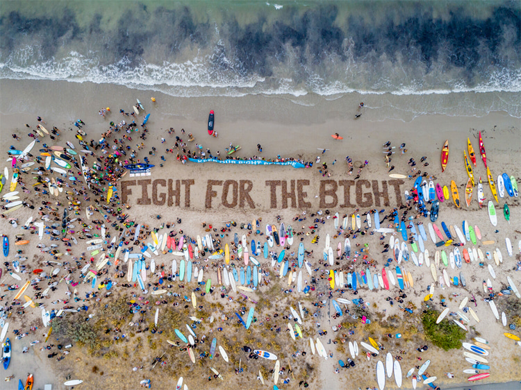 Fight for the Bight: in a world that is trying to go green, we still have to fight to protect Nature | Photo: Fight for the Bight