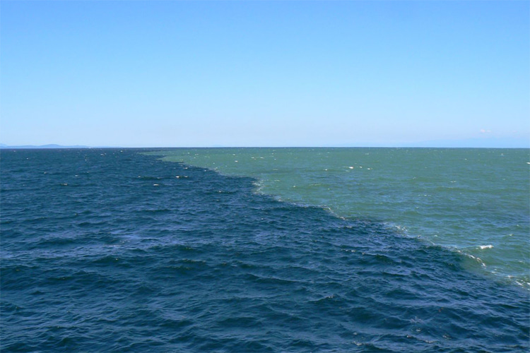 Strait of Georgia, Canada: the line that separates fresh water from sea water | Photo: stephengg/Creative Commons