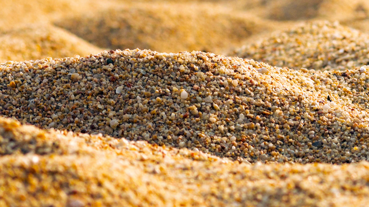 Sand: a mix of abiogenic and biogenic particles | Photo: Shutterstock