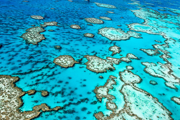 Great Barrier Reef: global warming and pollution are its main threats | Photo: Shutterstock