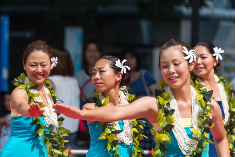 Hula: the traditional Hawaiian dance is performed for entertainment purposes, but is also has religious and spiritual goals | Photo: Shutterstock