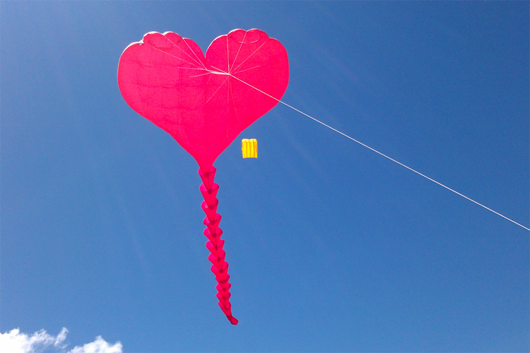 Kites: Peter Lynn is on a mission to develop single-line, single-skin kites | Photo: Peter Lynn