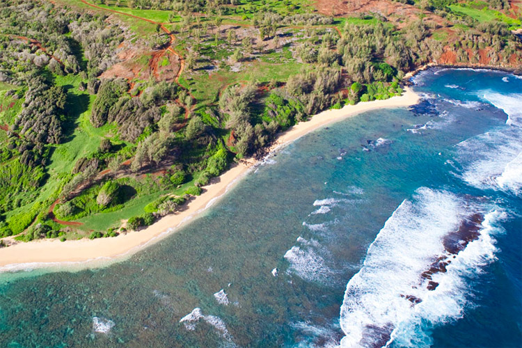 Kahu Aina plantation: the 700-acre compound owned by Mark Zuckerberg
