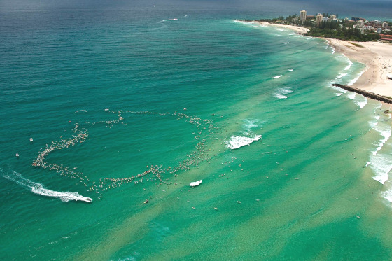 1500 surfers paddle to save Kirra Point