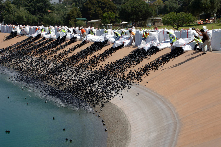Los Angeles: 96 million black balls to prevent evaporation of 300 million gallons of water | Photo: LAPWD