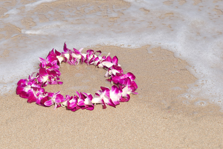 Lei: the colorful Hawaiian necklace can be made using several types of flowers | Photo: Shutterstock