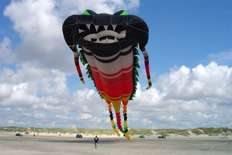 The Megabite: Peter Lynn Kites' first very large kite, built in 1995