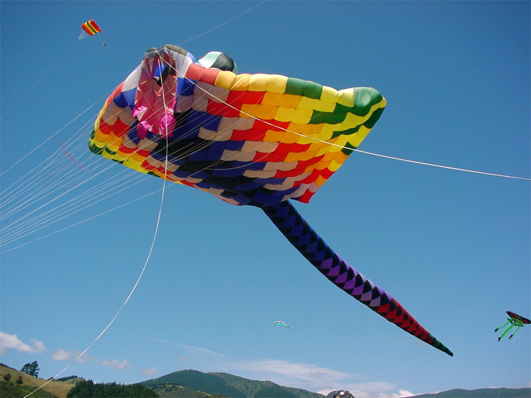 Mega Ray: a large kite built in 1997 by Peter Lynn