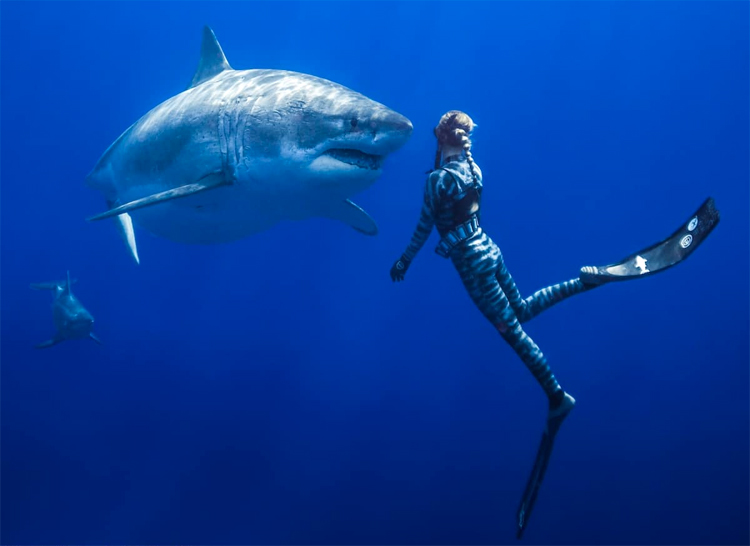 Ocean Ramsey: the Hawaiian waterwoman started swimming with sharks when she was only 14 years old | Photo: Oliphant/One Ocean Diving