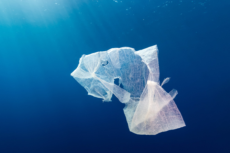 Grocery bags: 80 percent of all trash floating in the oceans is made of plastic | Photo: Shutterstock