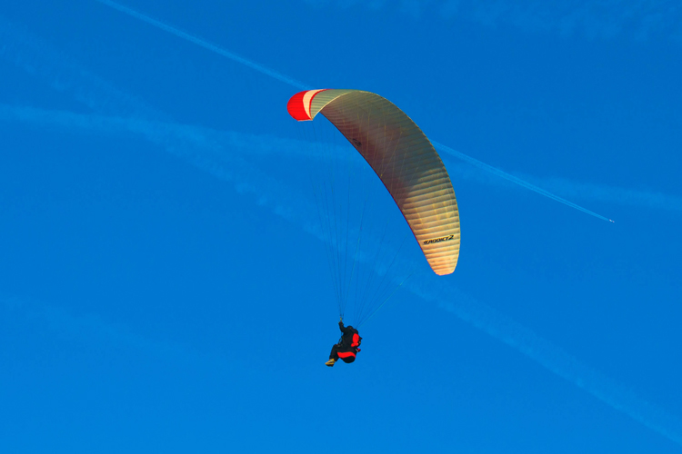 Paragliding: kites, please stay away | Photo: Derek Lee/Creative Commons