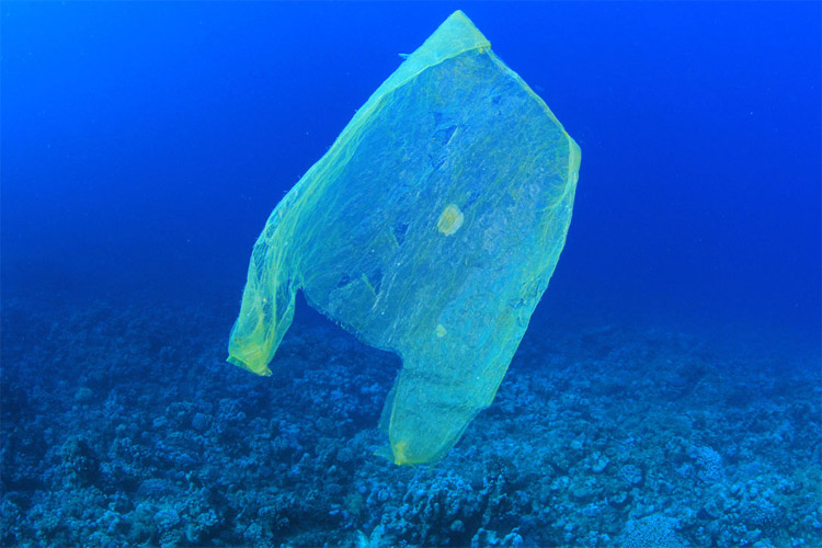 Plastics: every year, 10 million tons of plastics end up in the ocean | Photo: Creative Commons