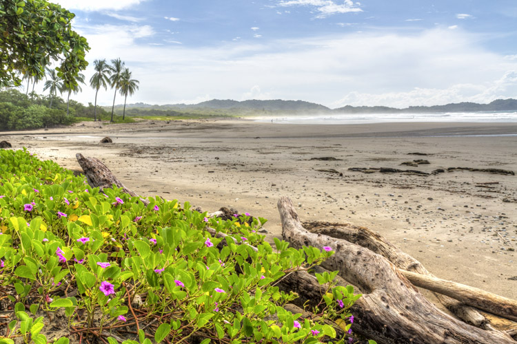 Playa Guiones: a seven-kilometer long surfing beach located in Nosara | Photo: Shutterstock