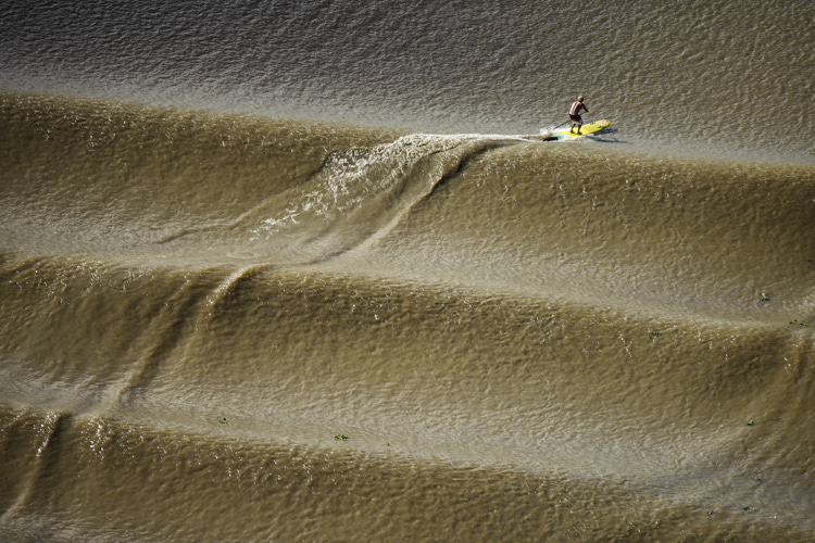 Pororoca: the longest waves in the world can be ridden in Brazil's Amazon River | Photo: Red Bull