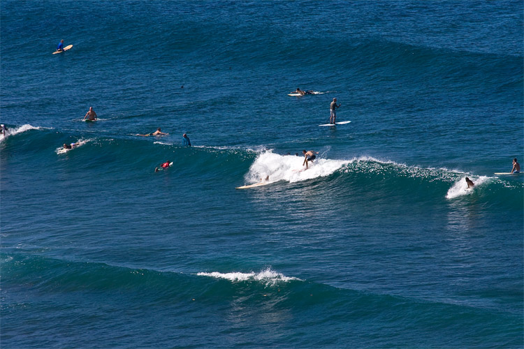 Puerto Rico: one of the best affordable surf destinations in the world | Photo: Earth Missions