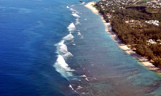 Reunion Island: waves and plenty of sharks