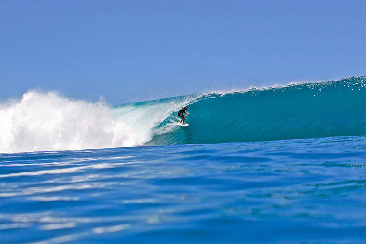 Rob Machado: his surfing style reminds us of Gerry Lopez | Photo: Reef