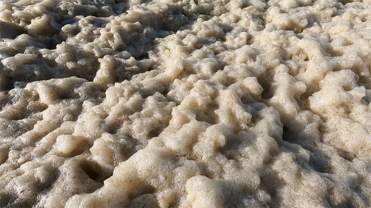 Sea foam: a beige spume created by the agitation of seawater containing high concentrations of dissolved organic matter | Photo: SurferToday.com