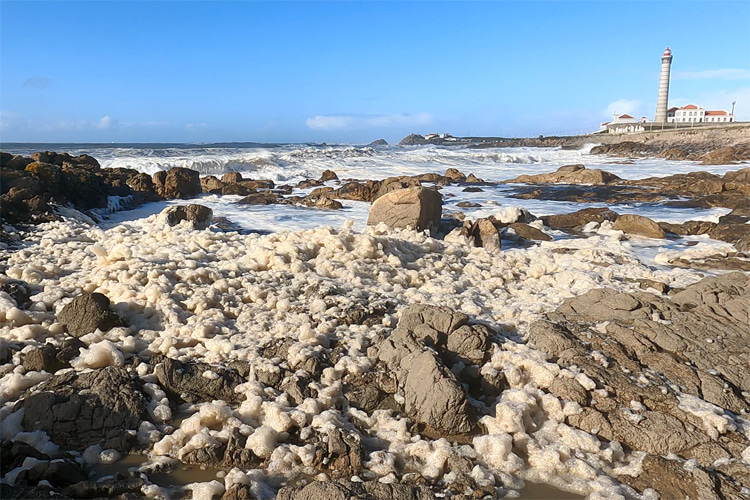Sea foam: a consequence of mechanical and chemical processes | Photo: SurferToday.com