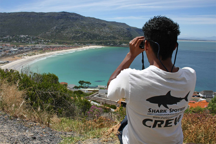 Shark spotter: the person who monitors and detects the presence of the ocean's predator in beaches and crowded surf spots | Photo: Shark Spotters