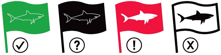 Shark activity: South Africa's Shark Spotters use a four-flag warning system