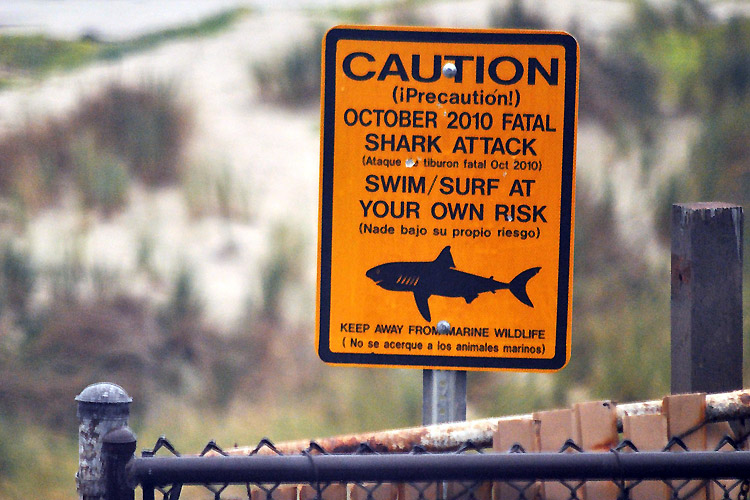 Shark-infested waters: surf at your own risk | Photo: Loco Steve