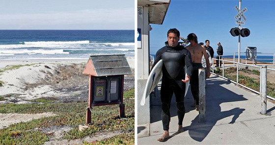 Surf Beach: shark attacks have claimed another life