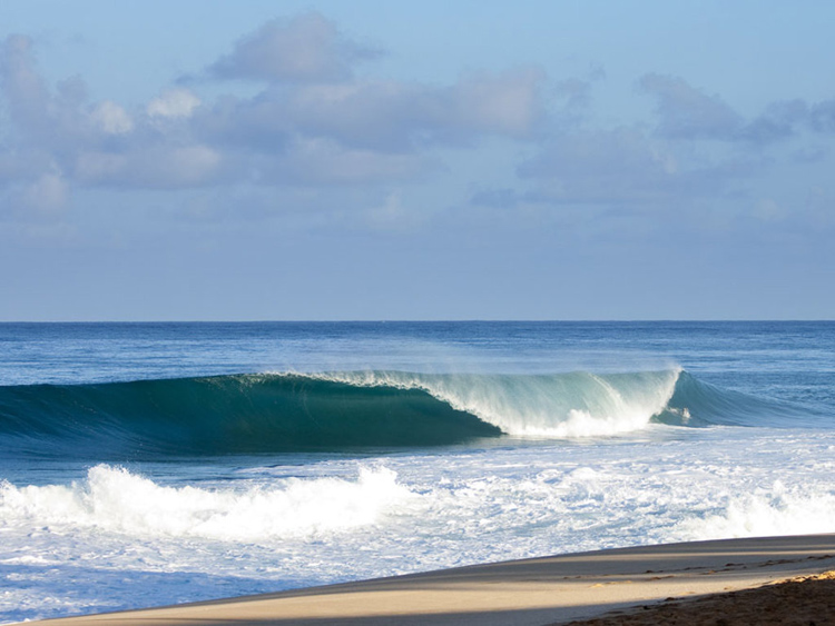 Surf reports: they work like a magic ball | Photo: ASP