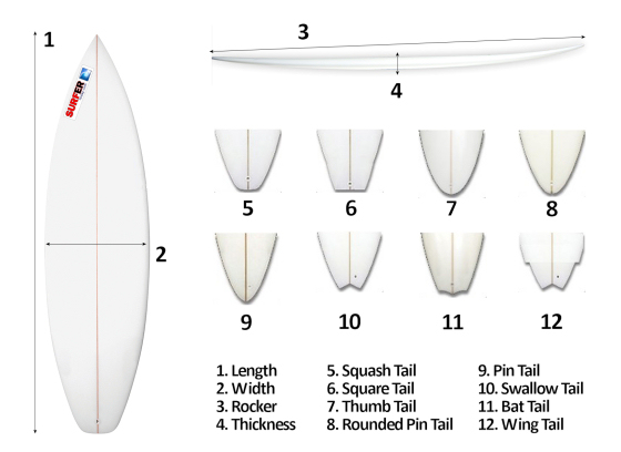 Surfboard design: focus on length, width, thickness, rocker and tail