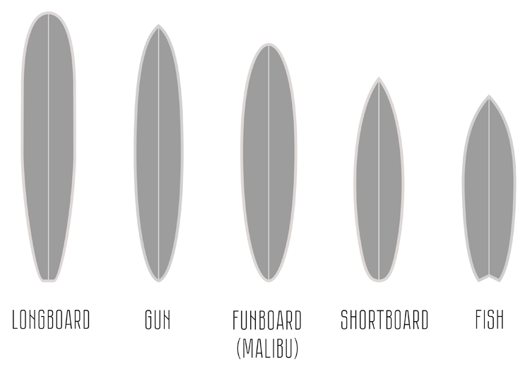 Surfboards: the most common sizes and shapes from longboards to shortboard | Illustration: Shutterstock