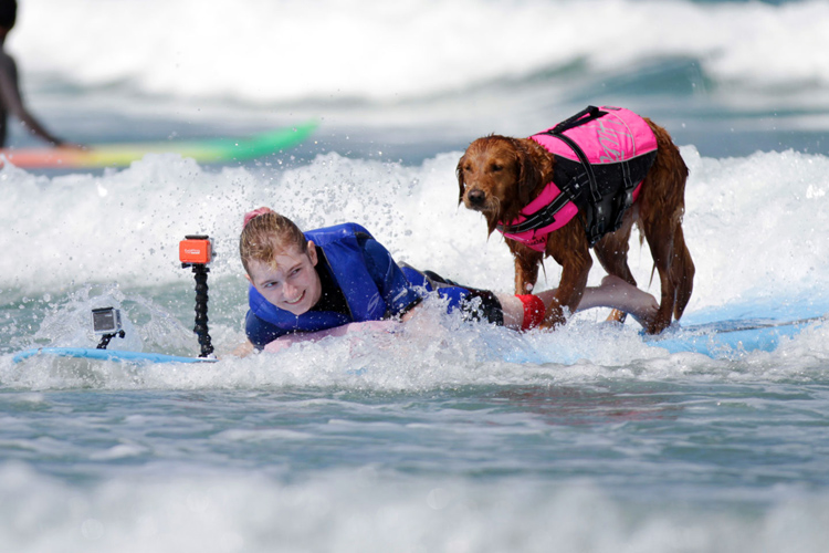 Ricochet and Savannah: surf's up | Photo: Gilda Adler