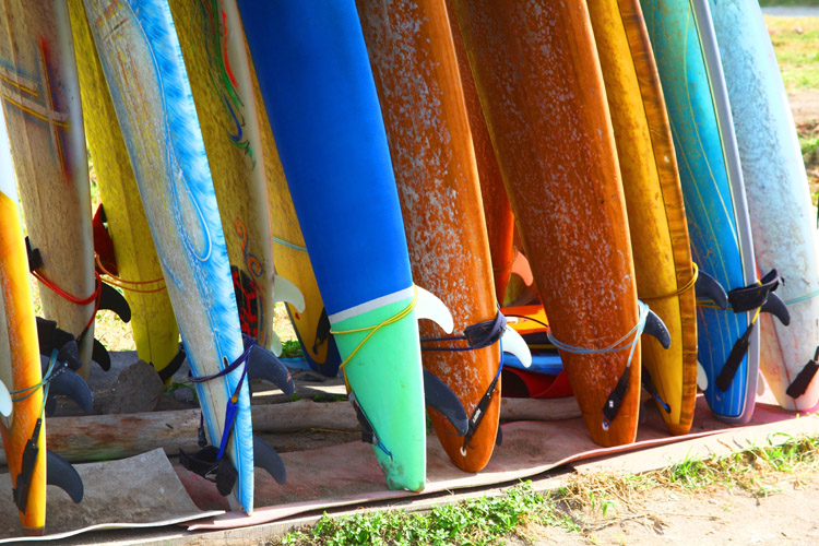 Surfboards: there are seven main types of boards - shortboards, longboards, fish boards, malibu/funboards, guns, tow-in boards, and stand-up paddleboards | Photo: Shutterstock