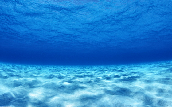 Underwater: there are waves out there