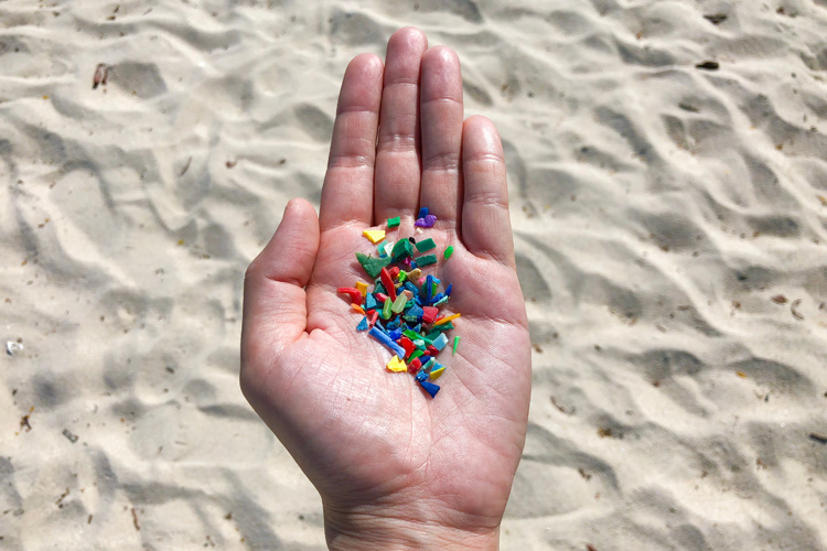 Microplastics: small pieces of plastic that are less than five millimeters long | Photo: Shutterstock