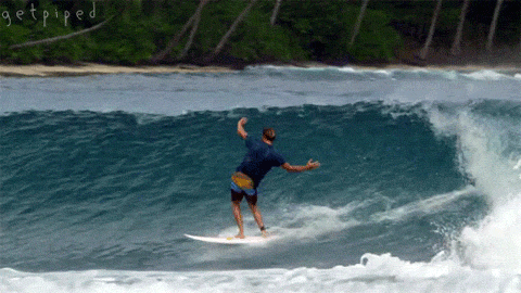 Animated surfing GIF