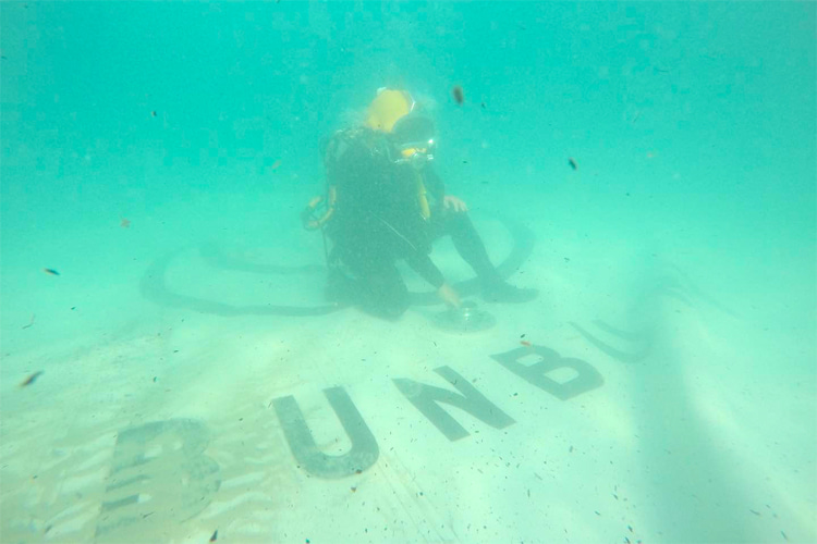 Airwave: the inflatable reef that was laid in Bunbury's ocean floor | Photo: Airwave