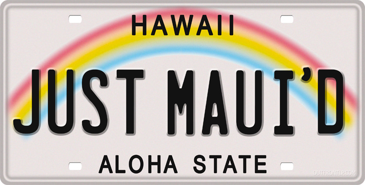 Aloha State: Hawaiian license plates are extremely cool | Photo: thelicenseplatesite.com