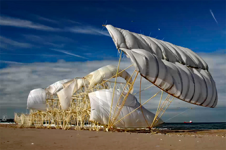 Animaris Rex: the 2023 wind-powered beach animal by Theo Jansen | Photo: Jansen Archive