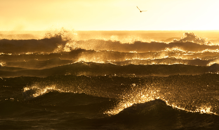 Atlantic Ocean: the saltiest water of all the oceans | Photo: Shutterstock