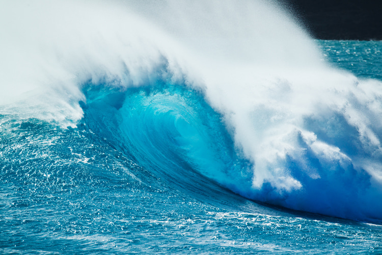 Wave: a blue cylinder of aquatic dreams | Photo: Shutterstock