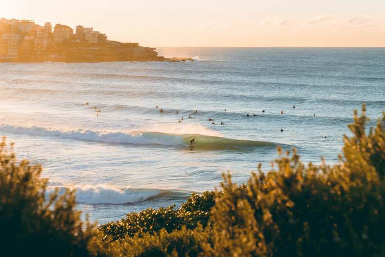 Bondi Beach, Sydney: one of the most crowded surf spots in Australia | Photo: Hardy/Creative Commons