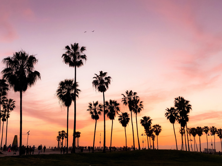 California Sound: inspired by the Golden State's laid-back lifestyle | Photo: Rishe/Creative Commons