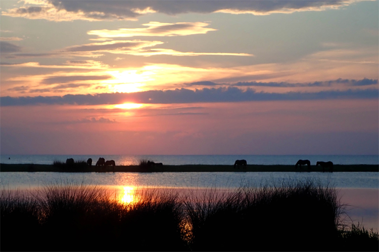 Cedar Island: a sailing paradise in the Southern Outer Banks | Photo: WaterTribe