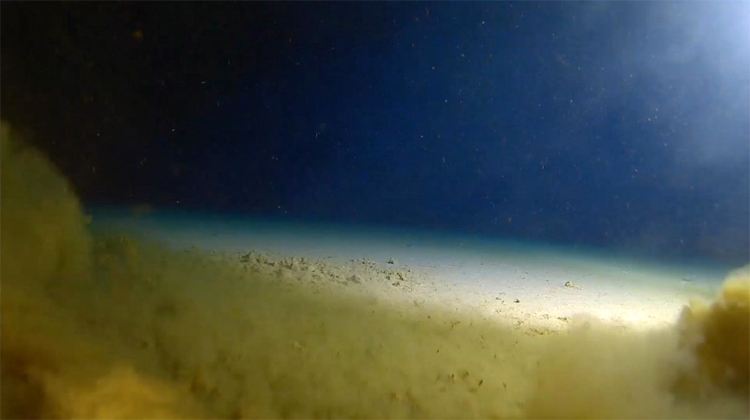 Challenger Deep: this is how the deepest place on Earth looks like | Photo: Five Deeps