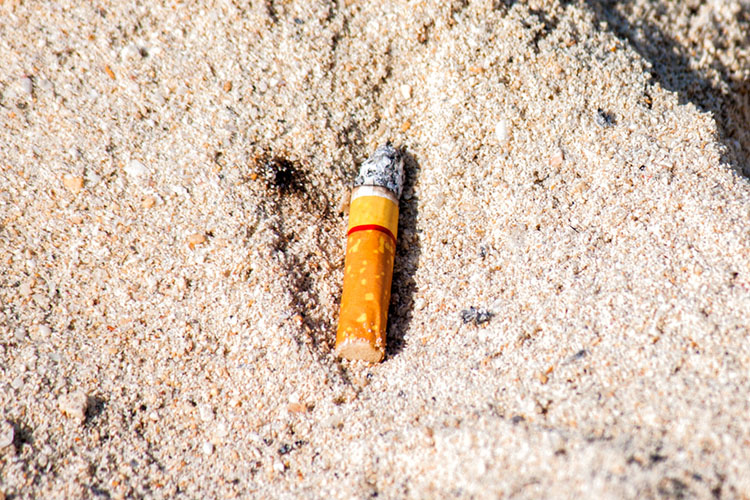 Cigarette butts: the number one littered item in the oceans | Photo: Shutterstock