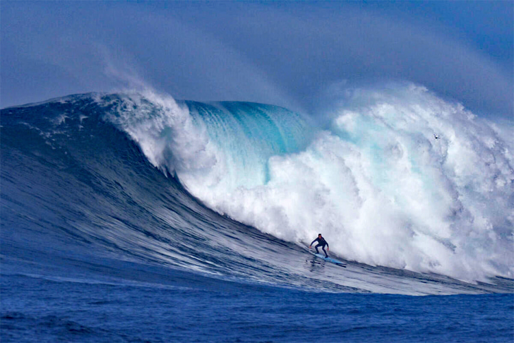 Cortes Bank: probably the biggest wave in California | Photo: Lyles/WSL